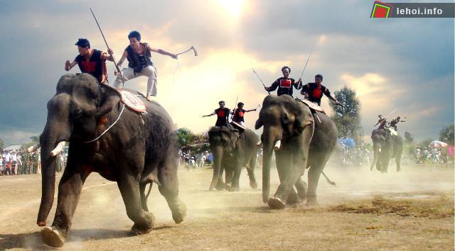 Lễ hội đua voi Tây Nguyên tại Đăk Lăk