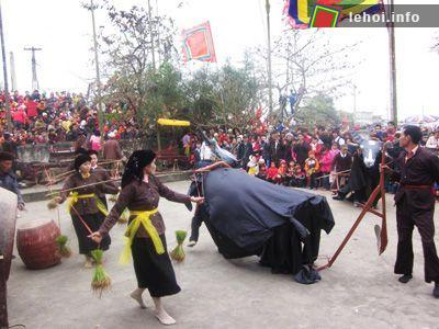 Đặc sắc lễ hội cầu trâu ở Hương Nha
