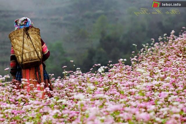 Lễ hội lộc hoa của người Xinh Mun