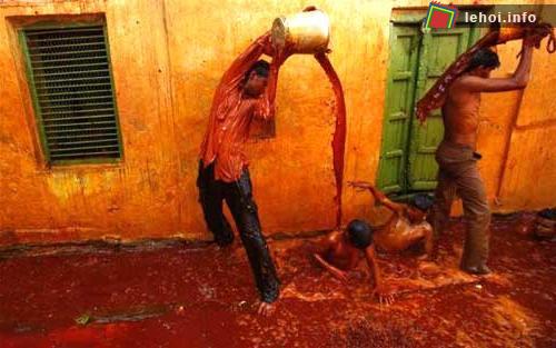 Hình ảnh trong lễ hội Holi