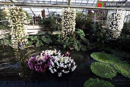 Đến lễ hội hoa Kew thỏa sức chiêm ngưỡng hoa lan 