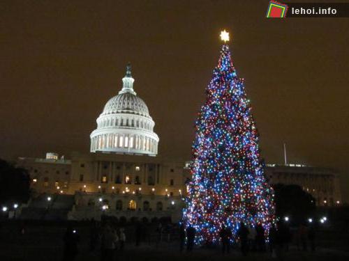 Cây thông Noel khổng lồ tại Washington DC