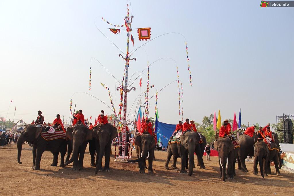 Ngay từ sáng sớm, những chú voi đã tề tụ đông đủ để tham gia vào Hội voi Đak Lak.