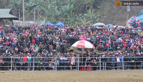 Hàng vạn đồng bào dân tộc tham dự lễ hội chọi bò Bảo Lâm 2014