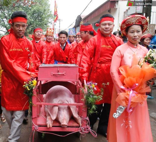 Lợn được nhốt vào cũi gỗ hồng và rước đi khắp làng trước khi tế lễ