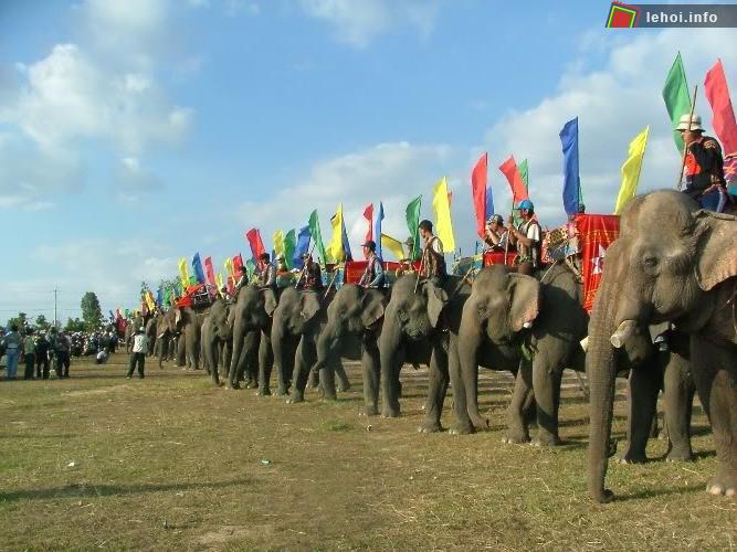 Đua voi là một trong những lễ hội lớn và quan trọng nhất trong hệ thống lễ hội cổ truyền của người Tây Nguyên