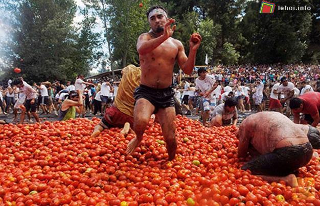 Độc đáo lễ hội cà chua ở Quillon, Chile