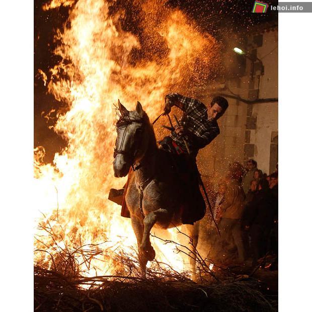 Thánh Anthony là một vị thánh bảo trợ cho động vật. Theo truyền thống, người dân cưỡi ngựa lao qua lửa để gột sạch tội lỗi cho các con vật.