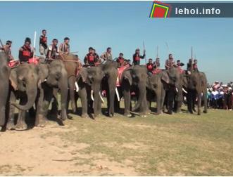 Có 16 chú voi tham gia thi đấu ở hai nội dung là voi chạy tốc độ trên cạn và voi chạy dưới nước.
