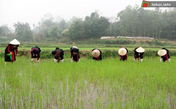 Thực hiện nghi thức xuống đồng trong Lễ hội Lồng tồng