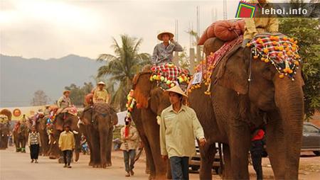 Hồi hộp chờ đón Caravan Voi sôi động ở Lào vào năm 2015