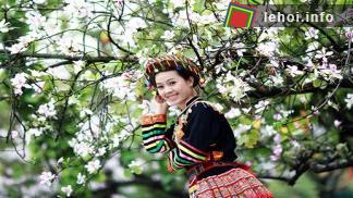 Nét đẹp người con gái thái trong lễ hội Hoa Ban - Mường Lò
