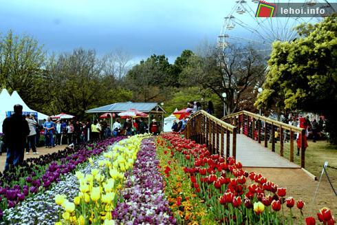 Lễ hội hoa Floriade tại Australia ảnh 2