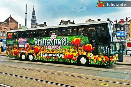 Đến Hà Lan thưởng ngoạn lễ hội hoa tulip ảnh 3