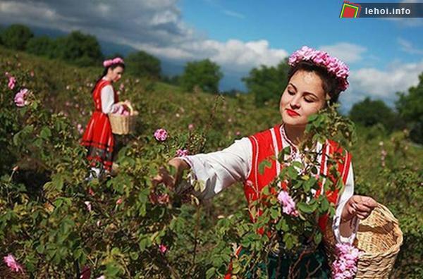 Đến Bulgaria dự lễ hội hoa hồng ảnh 3