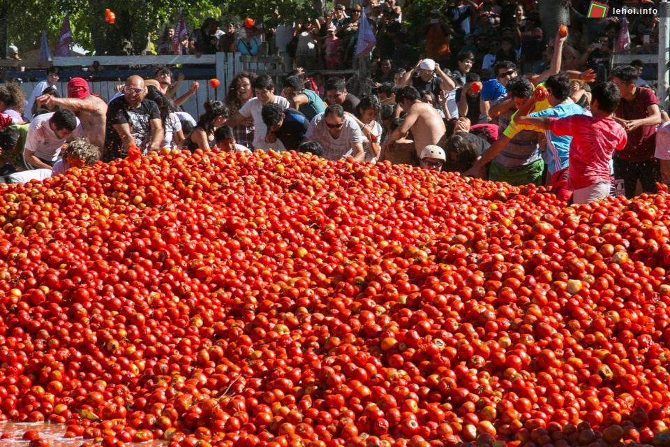 Thả ga ném cà chua trong lễ hội cà chua tại Quillon, Chile