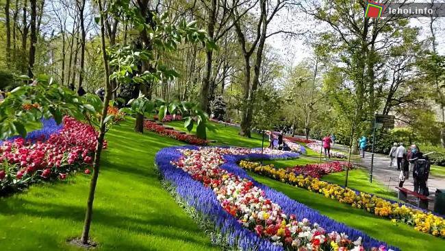 Lễ hội hoa hiếm hoi 10 năm tổ chức 1 lần tại Hà Lan ảnh 2
