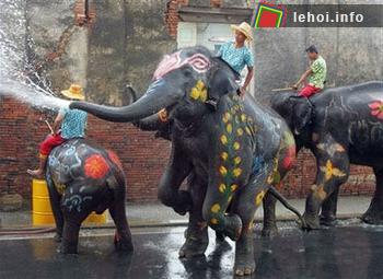 Những chú voi tham gia lễ hội Sự hào hứng nhiệt tình của các du khách nước ngoài