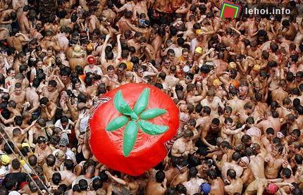 Tây Ban Nha: Lễ hội ném cà chua ảnh 3