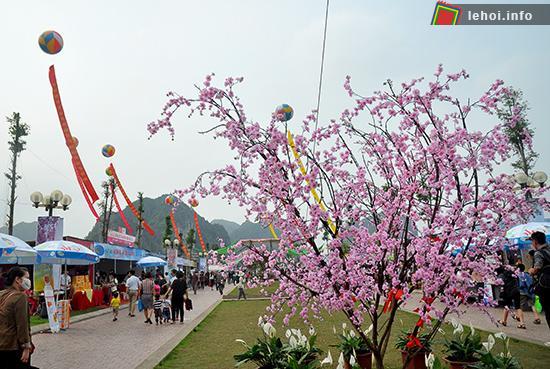 Các gian hàng trong Lễ hội hoa anh đào Hạ Long 2015