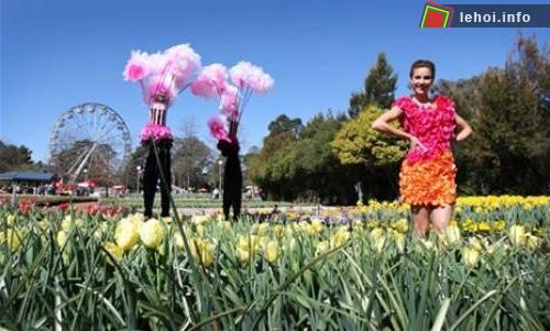 Lễ hội hoa của những cảm xúc ở Australia ảnh 3