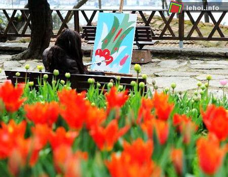 Hình ảnh hoa tulip xuất hiện rất nhiều trong dân ca, thi ca và mỹ thuật của đất nước này. Phổ biến nhất và dễ nhận thấy nhất đó là các họa tiết được thêu trên thảm hay các lối kiến trúc mang hình dáng của nụ hoa tulip. Trong ảnh là một họa sĩ đang lưu lại những hình ảnh về loài hoa tulip  theo cảm nhận của riêng bản thân mình.  