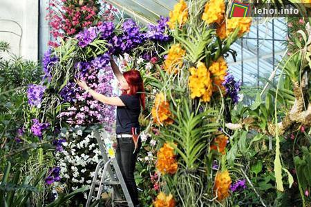 Đến lễ hội hoa Kew thỏa sức chiêm ngưỡng hoa lan ảnh 6