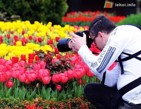 Người đàn ông này đã chọn cách lưu giữ lại những khoảnh khắc tuyệt đẹp của loài hoa này bằng sự hỗ trợ của những chiếc máy ảnh rất chuyên nghiệp. 