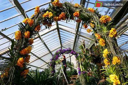 Đến lễ hội hoa Kew thỏa sức chiêm ngưỡng hoa lan ảnh 7