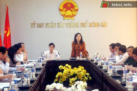 Đồng chí Nhữ Thị Hồng Liên, Phó Chủ tịch UBND tỉnh kết luận buổi làm việc.