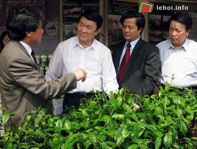 Đồng chí Trương Tấn Sang và lãnh đạo tỉnh Phú Thọ tham quan các gian hàng trưng bày, giới thiệu sản phẩm chè.