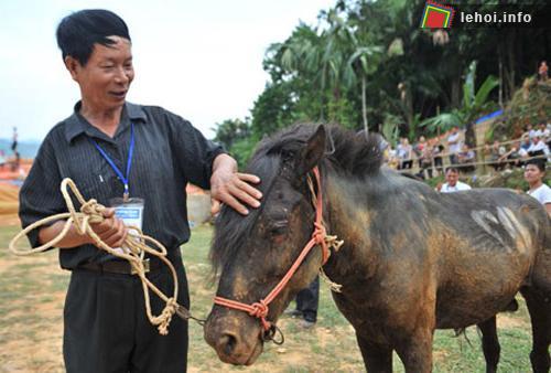 Tỉnh Hà Giang sẽ tổ chức hội thi đấu ngựa trong hai ngày 17 - 18/8 để phục hồi, bảo tồn môn thể thao truyền thống này.