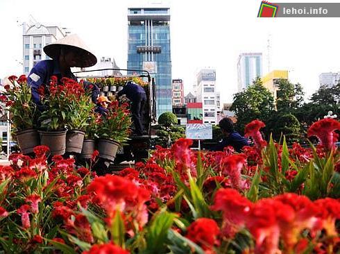 10 ngàn chậu hoa chuẩn bị cho Lễ hội hoa xuân 2013