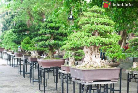 Vườn Cơ Hạ, điểm nhấn tại Đại nội Huế trong dịp Festival Huế 2012
