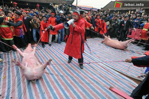 Lễ hội Chém lợn tế Thánh làng Ném Thượng