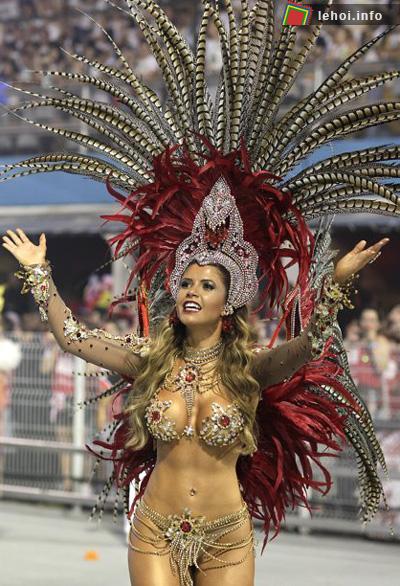 Rio de Janeiro cuồng nhiệt với lễ hội Carnival lần thứ 93 ảnh 4