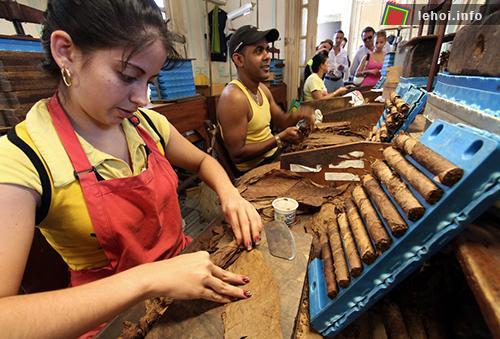 Xì gà Cuba được làm hoàn toàn thủ công