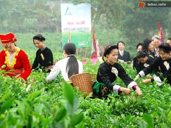 Đặc sản lá trà ở Võ Nhai - Thái Nguyên