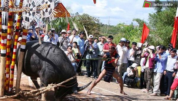 Đông đảo người dân tham gia lễ hội đâm trâu