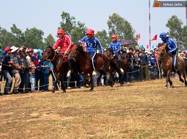 Hội đua ngựa Gò Thì Thùng thu hút hàng nghìn người tham gia