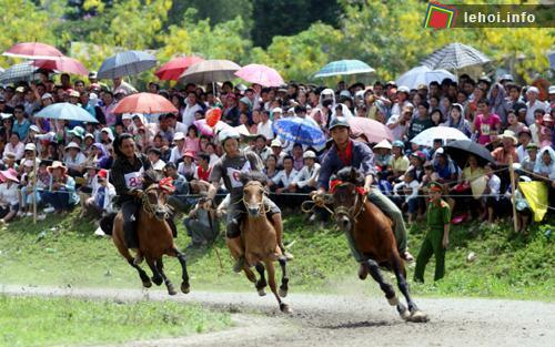 Hội đua ngựa truyền thống Bắc Hà mở rộng- năm 2011