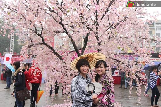 Lễ hội hoa anh đào nay đã đến với Việt Nam