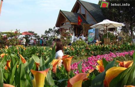 Vườn trưng bày các loại hoa của Đà Lạt thường thu hút được nhiều sự quan tâm của du khách.