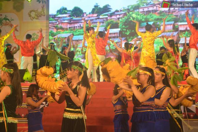 Lễ hội sâm núi Ngọc Linh tổ chức lần đầu tiên tại Quảng Nam