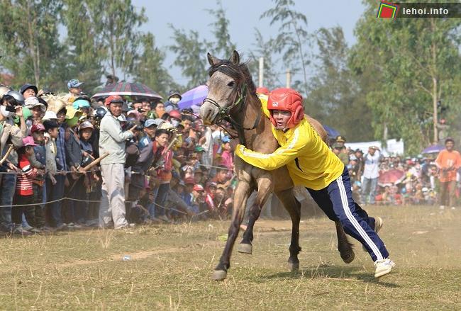 Kỵ sĩ điều khiển ngựa đua trong hội đua ngựa Gò Thì Thùng