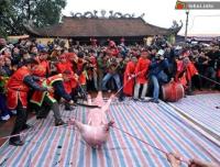 Ảnh Lễ hội chém lợn tại Bắc Ninh