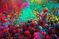 Ảnh Lễ hội ném bột màu Holi của Ấn Độ