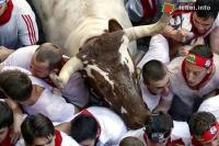 Ảnh Lễ hội đua cùng bò tót tại Tây Ban Nha
