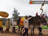 Ảnh Lễ hội “Vua đi cày” truyền thống tại Campuchia