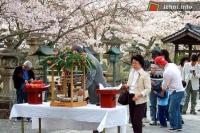 Ảnh Linh thiêng nghi lễ tắm Phật trà xanh tại Nhật Bản